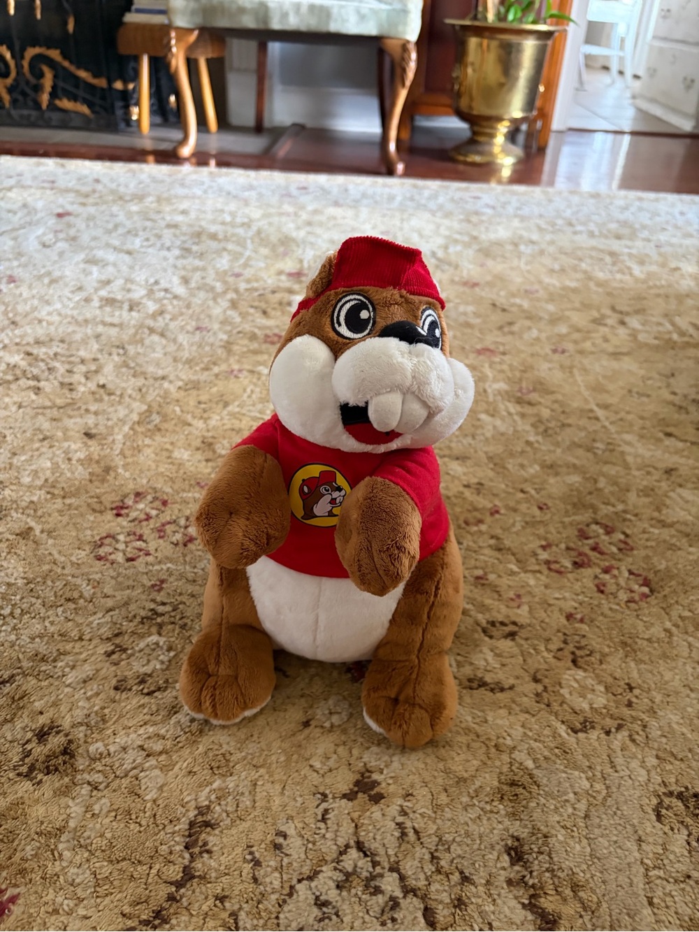 Buc-ee's stuffed animal GUC iconic gifts plushie